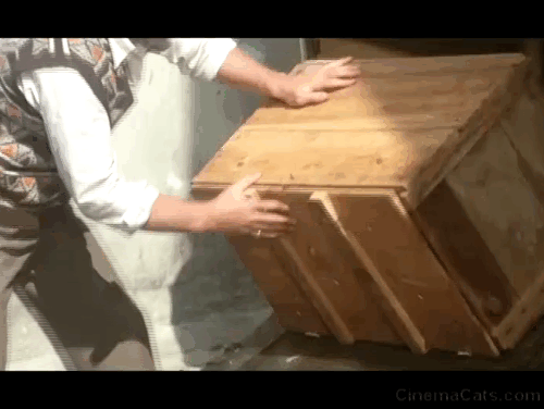Borsalino - numerous cats being dumped out of crate and running down street animated gif
