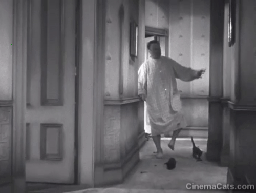 The Bowery - Connors Wallace Beery walking gingerly down hallway with black kittens and poop animated gif