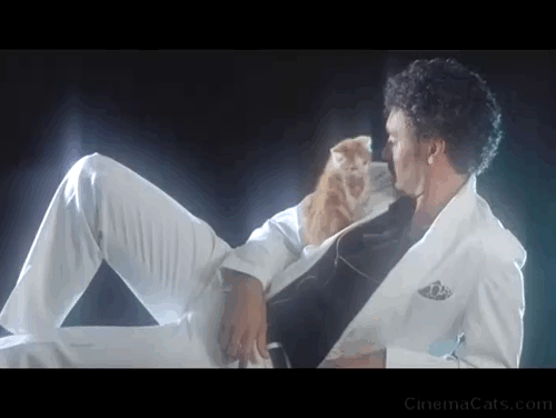 Boy - Alamein Taiki Waititi dressed as Thriller Michael Jackson with kitten animated gif