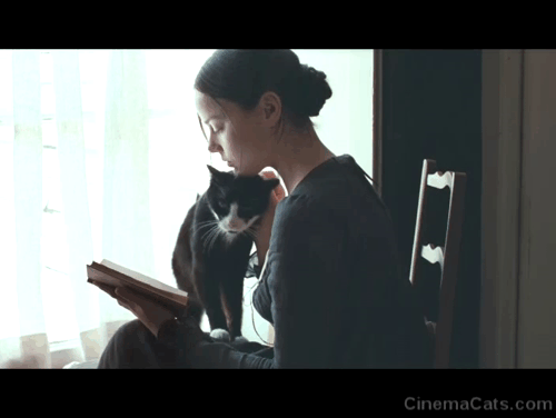 Bright Star - Fanny Abbie Cornish reading a book with tuxedo cat Topper animated gif