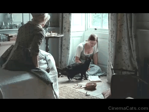 Bright Star - Fanny Abbie Cornish with tuxedo cat Topper jumping at butterfly in window animated gif