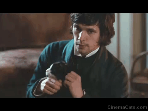 Bright Star - Keats Ben Whishaw holding and petting tuxedo cat Topper animated gif