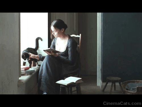 Bright Star - Fanny Abbie Cornish reading a book at the window with tuxedo cat Topper animated gif