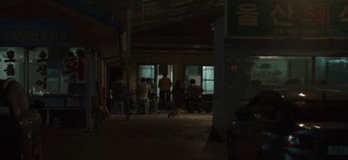 Broker - ginger and white tabby cat eating on ground outside restaurant animated gif