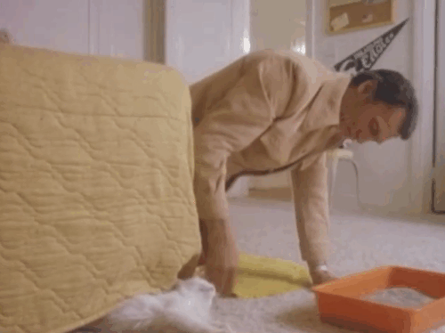 Bronk - Pilot telefilm - Alex Bronkov Jack Palance puts white longhair cat Yankee on top of bed while sneezing animated gif