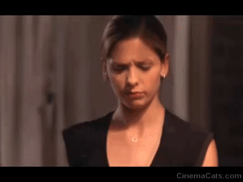 Buffy the Vampire Slayer - Life Serial - Buffy Sarah Michelle Gellar dumping tabby kittens out of basket which are then chased by demons animated gif