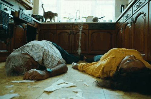 Bugonia - tabby cat on kitchen counter with dead woman and man on floor animated gif