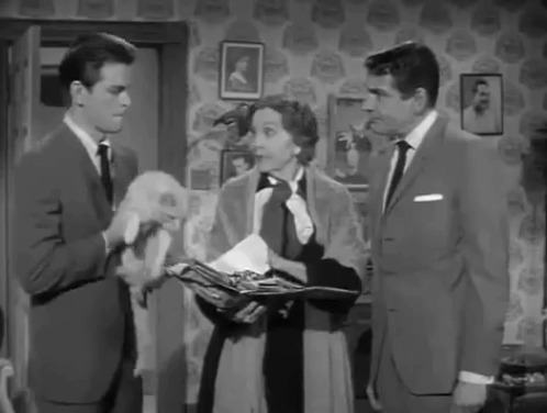 Burke's Law - Who Killed Holly Howard? - Capt. Burke Gene Barry taking ginger tabby cat Mr. DeMille Orangey and then handing him back to Mrs. Bowie Zasu Pitts with Detective Tilson Gary Conway animated gif