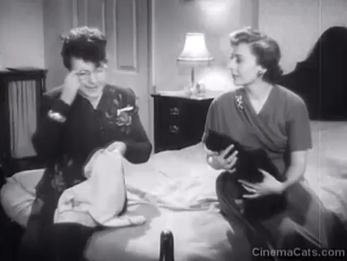 Burnt Evidence - Diana Jane Hylton on bed holding tuxedo cat with Mrs. Raymond Irene Handl animated gif