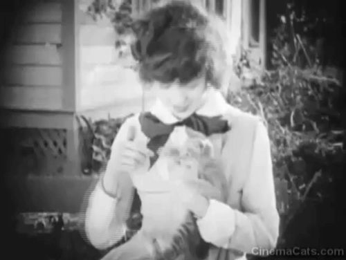 The Busher - Mazie Colleen Moore holding and kissing tabby kitten animated gif