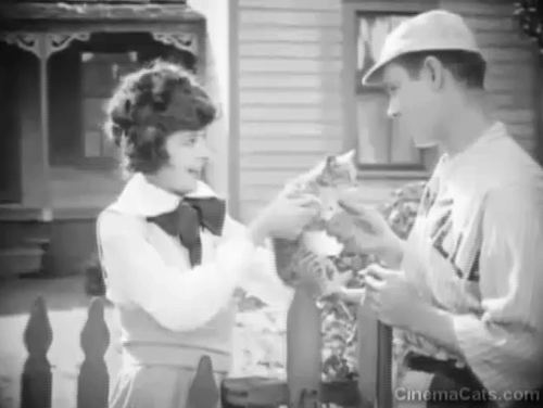 The Busher - Mazie Colleen Moore holding up tabby kitten to Ben Charles Ray over fence animated gif