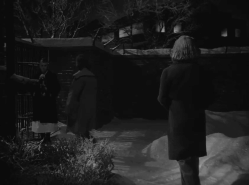 Caged - Marie Allen Eleanor Parker finding tiny tabby kitten Fluff in frozen bushes animated gif