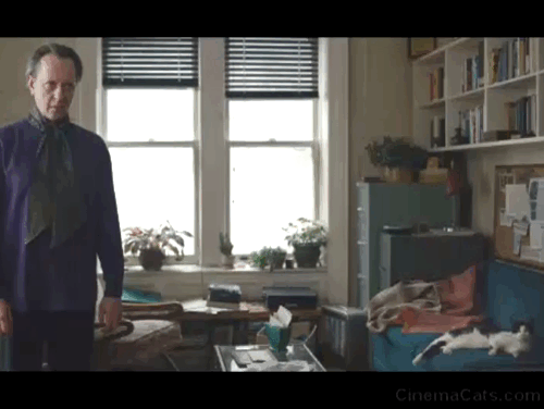 Can You Ever Forgive Me? - tuxedo cat Jersey Towne looking at Jack Hock Richard E. Grant from couch animated gif