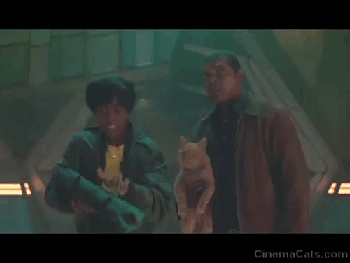 Captain Marvel - ginger tabby cat Flerken Goose devouring enemies with with Nick Fury Samuel L. Jackson and Maria Lashana Lynch animated gif