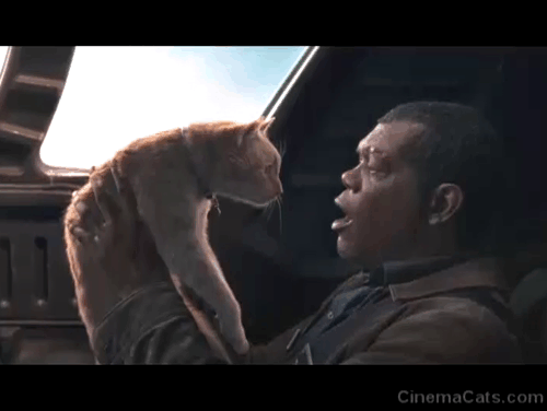 Captain Marvel - ginger tabby cat Flerken Goose scratching Nick Fury Samuel L. Jackson's eye animated gif