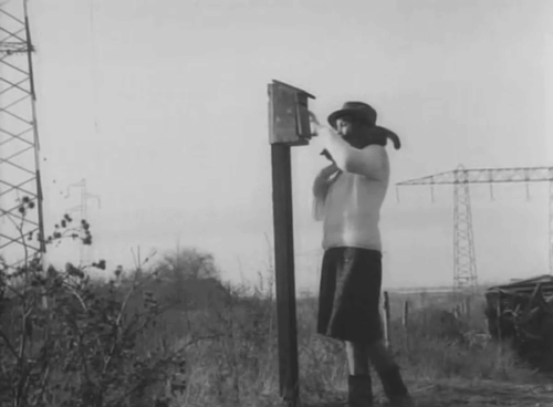 Les carabiniers - Venus Genevieve Galea with small cat climbing down from shoulder at mailbox animated gif