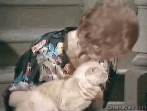 The Carol Burnett Show - Season 8, Episode 4 - drunk Jane Carol Burnett on stoop petting orange tabby cat on lap animated gif