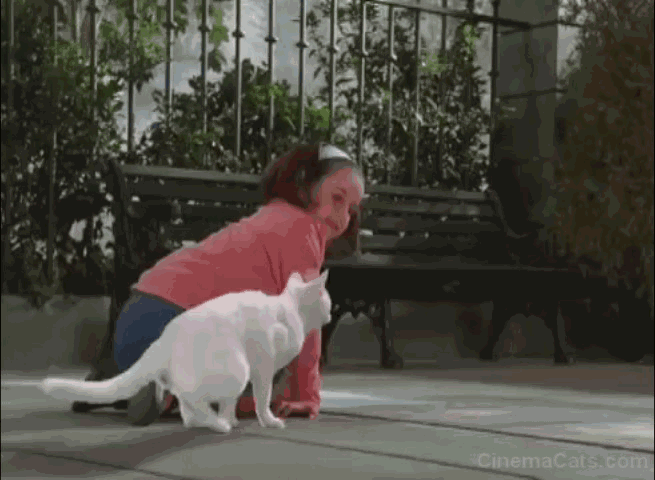 The Cat That Looked at a King - little girl sees white cat jump into chalk painting animated gif
