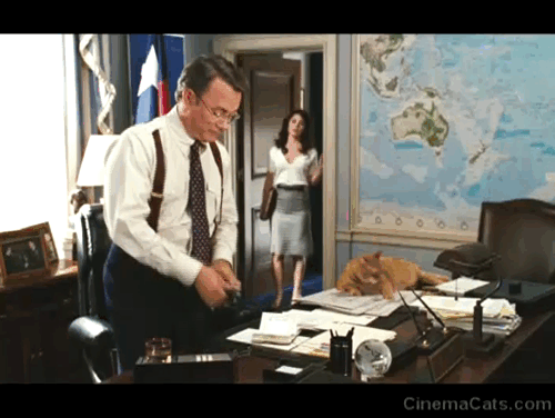 Charlie Wilson's War - ginger tabby cat lying on desk with Tom Hanks animated gif