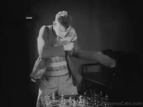 Chess Fever - Vladimir Fogel finding kitten in jacket sleeve and inside breast pocket animated gif