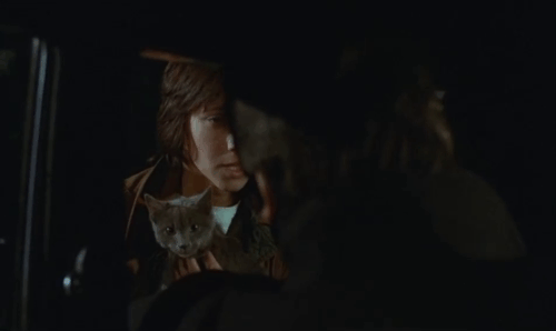 Le Choc - The Shock - Terrier Christian Alain Delon driving away after saying goodbye to Mathilde Catherine Leprince and gray cat Soudan animated gif