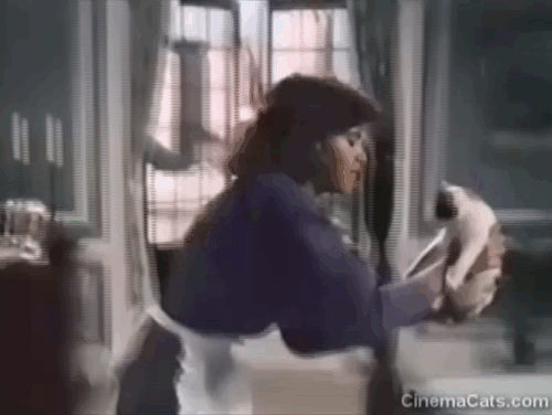 Christmas Eve - Maria Lisa Vidal scolding young calico cat on bed and pointing finger animated gif