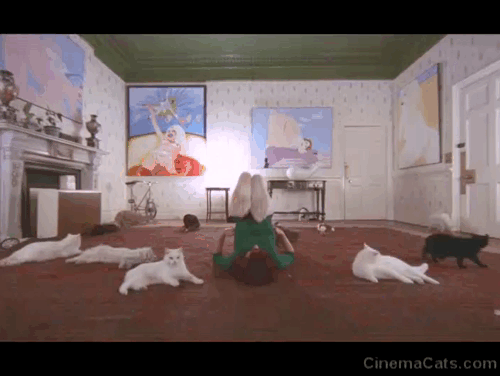 A Clockwork Orange - Cat Lady Miriam Karlin doing stretching exercises surrounded by cats animated gif