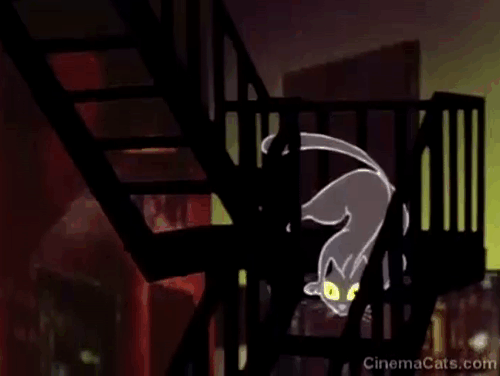 Club at the End of the Street - Elton John - cartoon black cat walking down fire escape ladder into alley animated gif