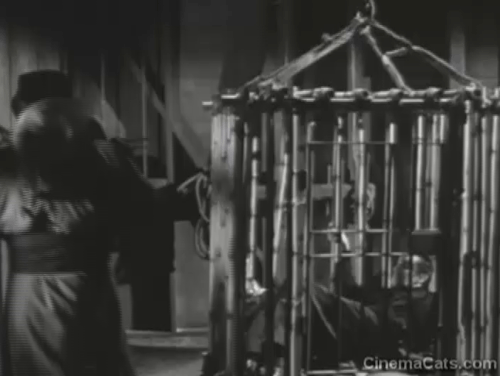 Confessions of an Opium Eater - Vincent Price in cage with man approaching outside with ginger tabby cat jumping onto roof animated gif