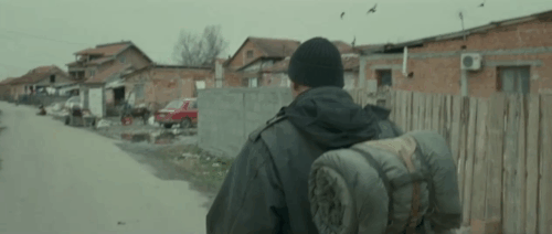 Coriolanus - brown tabby cat running away from Ralph Fiennes animated gif