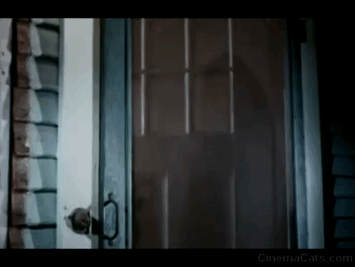 The Corpse Grinders - long haired calico cat attacking woman who opens door animated gif