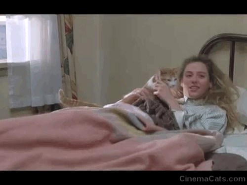 Creator - Barbara Virginia Madsen holding orange and white cat Ulysses tackled by Boris Vincent Spano before robot shocks bed animated gif