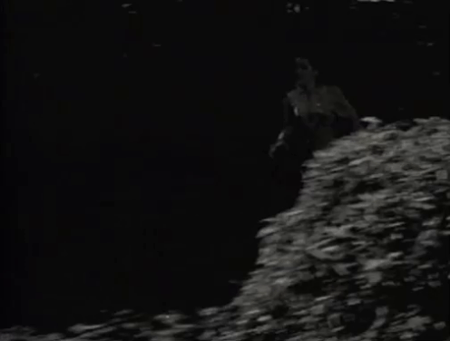 The Creeper - Nora Janis Wilson being chased down street by black cat with white paw animated gif