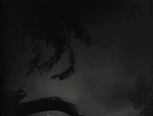 The Creeper - black cat climbing down tree branch in front of mansion animated gif