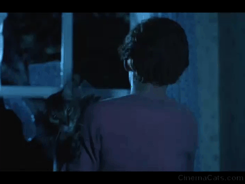 Critters - Brad Scott Grimes holding Bengal tabby cat Chewie who hisses and struggles to get away animated gif