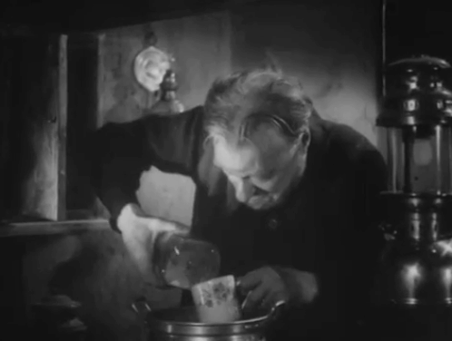 Cross of Love - Rakkauden risti - Kalle Oscar Tengström making face at hissing tabby and white cat animated gif