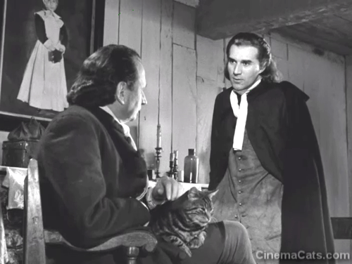 The Crucible - Thomas Alfred Adam petting tabby cat in lap with James Michel Piccoli animated gif