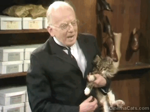 Dad's Army - Boots, Boots, Boots - shop keeper Mr. Sedgewick Erik Chitty holding up longhair tabby cat animated gif