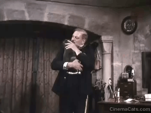 The Dance of Death - Edgar Laurence Olivier hugging and petting gray cat animated gif