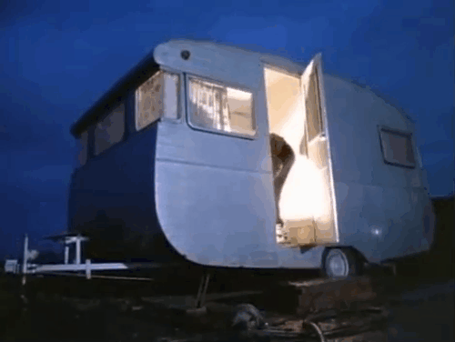 Date with Destiny - Mental as Anything - Greedy Smith putting out milk bottles and cat animated gif