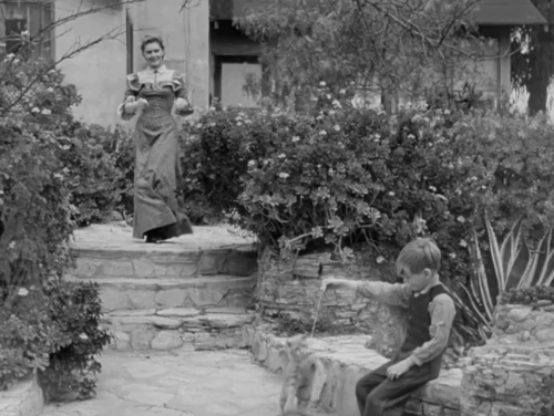 Death Valley Days - Faro Bill's Layout - ginger cat Samantha Orangey playing with cork on string held by Butch Gary Hunley as Grace Diane Brewster approaches animated gif