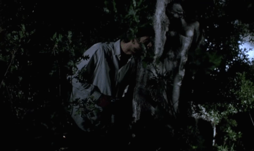 Dellamorte Dellamore - Francesco Dellamorte Rupert Everett spotting ginger tabby cat going to small pond of water to drink animated gif