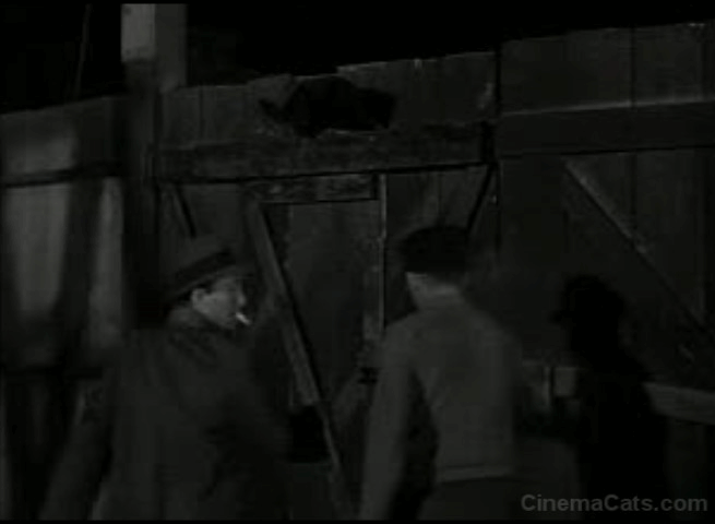 Dick Tracy's Dilemma - black cat jumps off wooden door animated gif