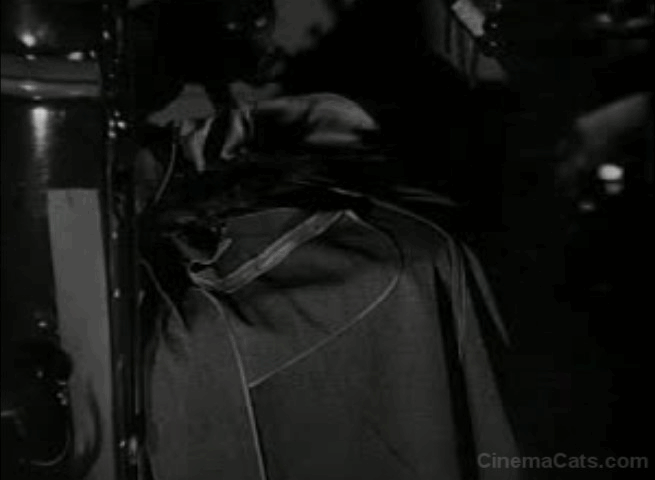 Dick Tracy's Dilemma - black cat jumps out of truck animated gif