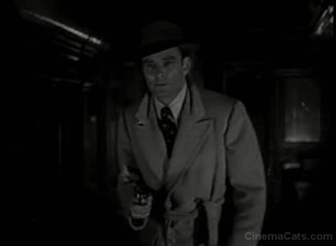 Dick Tracy's Dilemma - Dick Tracy sees English Shorthair cat animated gif