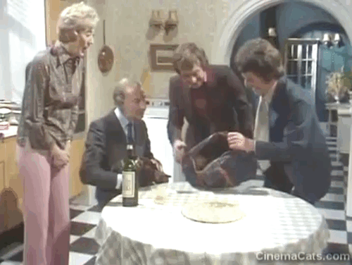 Doctor in Charge - A Man's Best Friend is his Cat - Sir Geoffrey Loftus Ernest Clark, Duncan Robin Nedwell, Paul George Layton and Lady Loftus Joan Benham with brown tabby cat Thomas and tabby kittens being released on table from bag animated gif