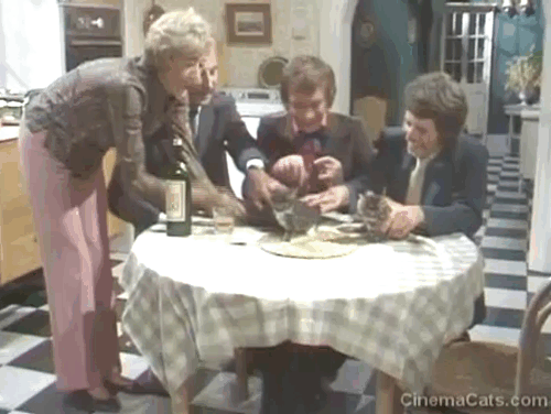 Doctor in Charge - A Man's Best Friend is his Cat - Sir Geoffrey Loftus Ernest Clark, Duncan Robin Nedwell, Paul George Layton and Lady Loftus Joan Benham with brown tabby cat Thomas and tabby kittens being startled on table animated gif