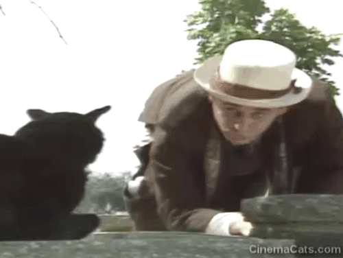 Doctor Who - Survival - Dr. Who Sylvester McCoy reaching for black cat Kitling before he and Patterson Julian Holloway disappear in white light animated gif