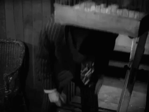 The Dog and the Diamonds - tabby kitten Frisky reacting to crook bumping into bird cage animated gif