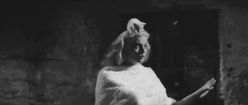La dolce vita - Sylvia Anita Ekberg walking with white kitten on head animated gif